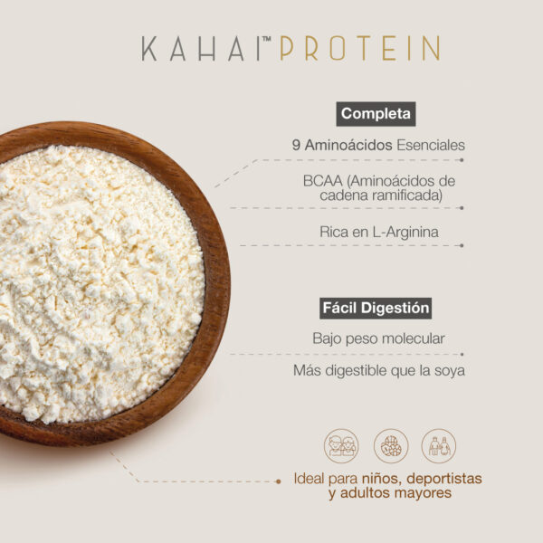 Proteína de Nuez de Cacay Natural Súper Alimento sin Aditivos - Imagen 5