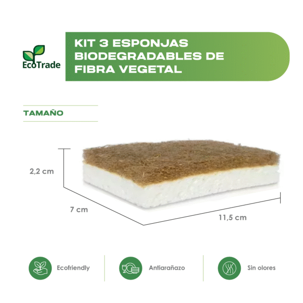 Pack de 3 Esponja Biodegradable Fibra de Vegetales Multiusos - Imagen 2