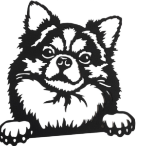 PERRO POMERANIA