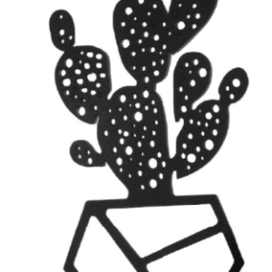 Cuadro Decorativo Nopal
