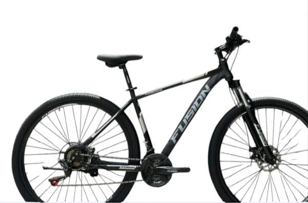 Bicicleta fusión rin 29