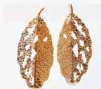 Idalmis maxiaretes