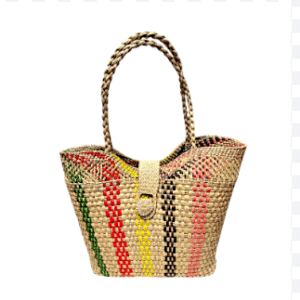 Bolso Raices