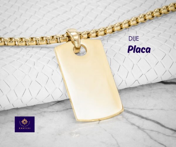Placa Lisa - Imagen 6