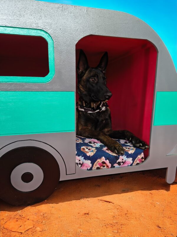 CASA PARA PERROS EN MADERA EN FORMA DE REMOLQUE PERROS GRANDES - Imagen 7
