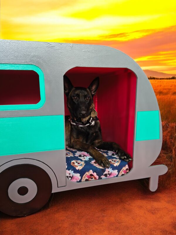 CASA PARA PERROS EN MADERA EN FORMA DE REMOLQUE PERROS GRANDES - Imagen 6
