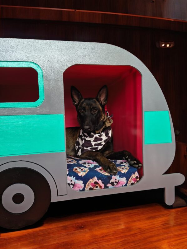 CASA PARA PERROS EN MADERA EN FORMA DE REMOLQUE PERROS GRANDES - Imagen 5