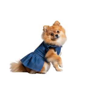 Vestido Jean