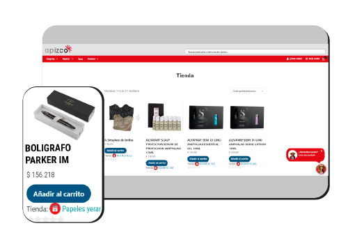Conoce Nuestras Comisiones Apizco