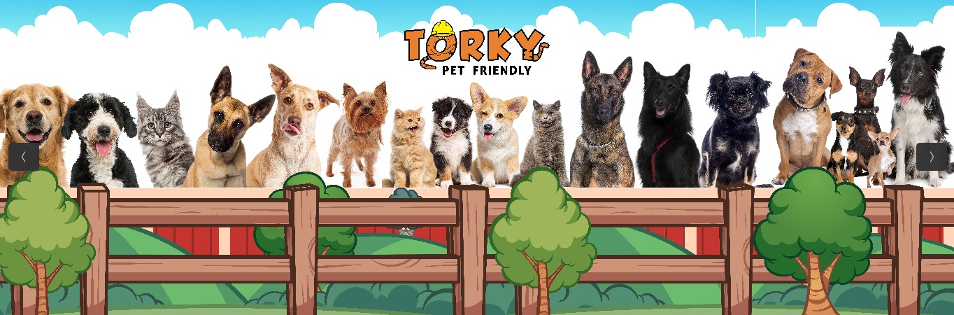 TORKY