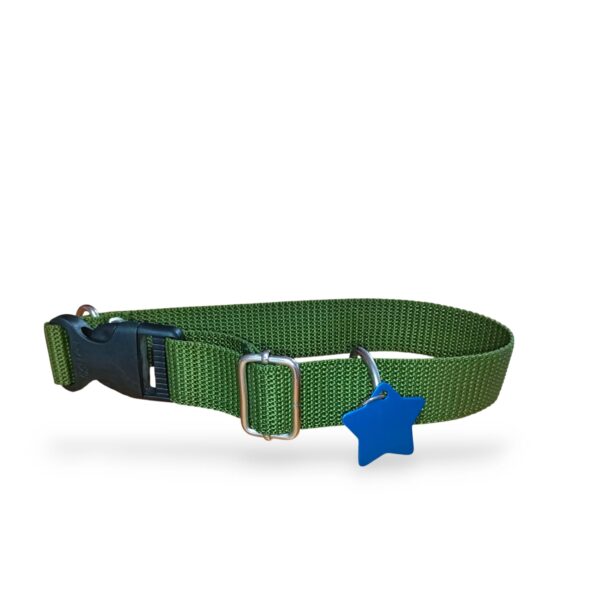 COLLAR LABRADOR