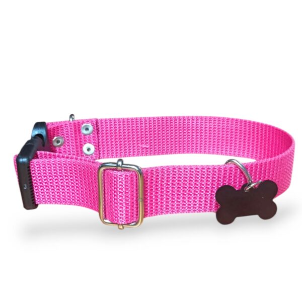 COLLAR LABRADOR - Imagen 2