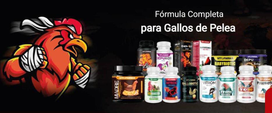 El gallo fino y algo mas