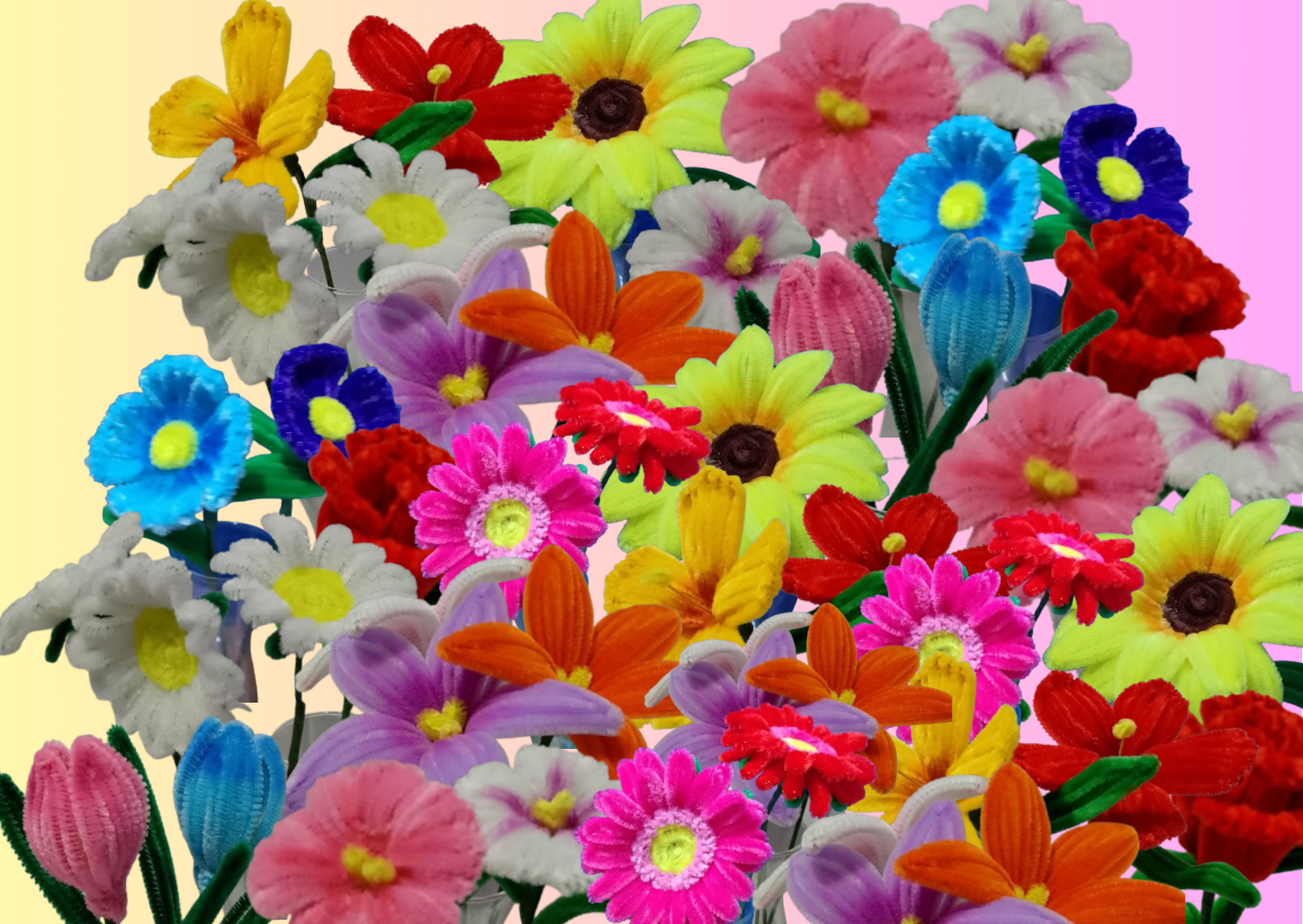 PÉTALUZ   Flores eternas
